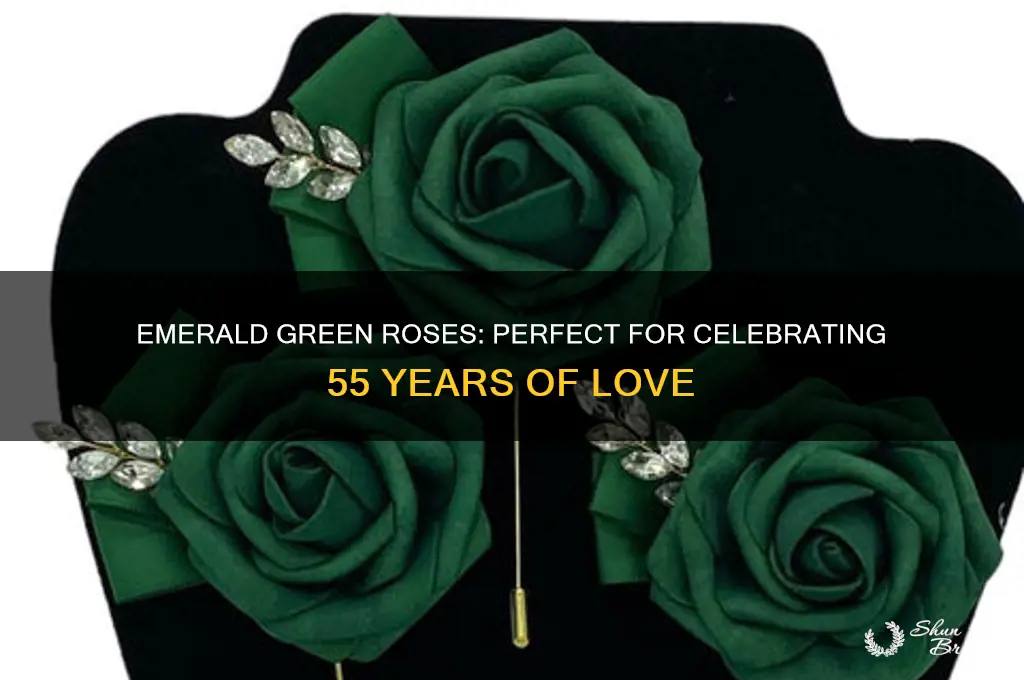what color of roses are appropriate for 55th wedding anniversary