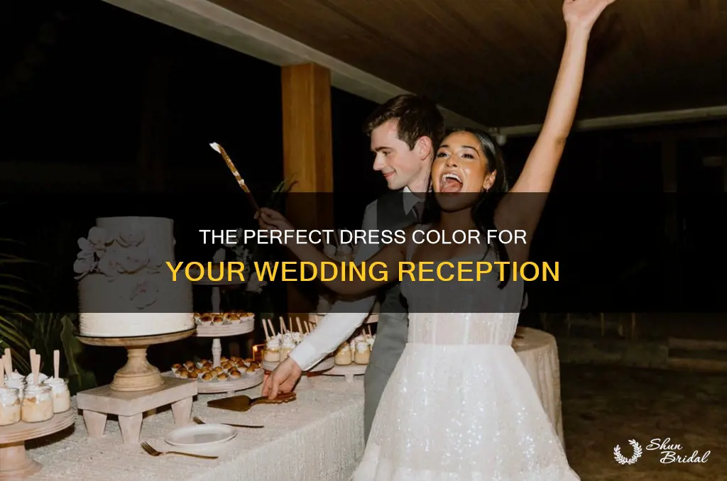 what color of the dress for my reception wedding