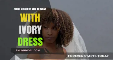 Perfect Veil Color Match: Ivory Dress Styling Tips and Ideas