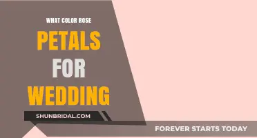 Choosing the Perfect Rose Petal Colors for Your Dream Wedding