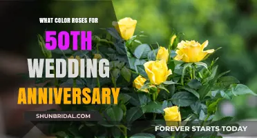 Golden Anniversary Roses: Perfect Colors to Celebrate 50 Years of Love