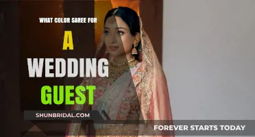 Elegant Wedding Guest Saree Colors: Perfect Choices for Every Celebration