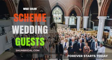 Choosing the Perfect Wedding Guest Color Scheme: Tips and Ideas