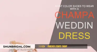 Champagne Wedding Dress: What Shoe Colors Work?