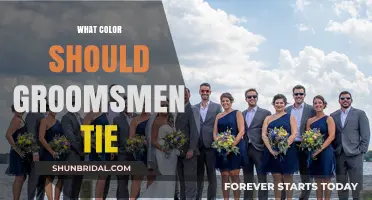 Choosing the Perfect Groomsmen Tie Color: Tips and Trends