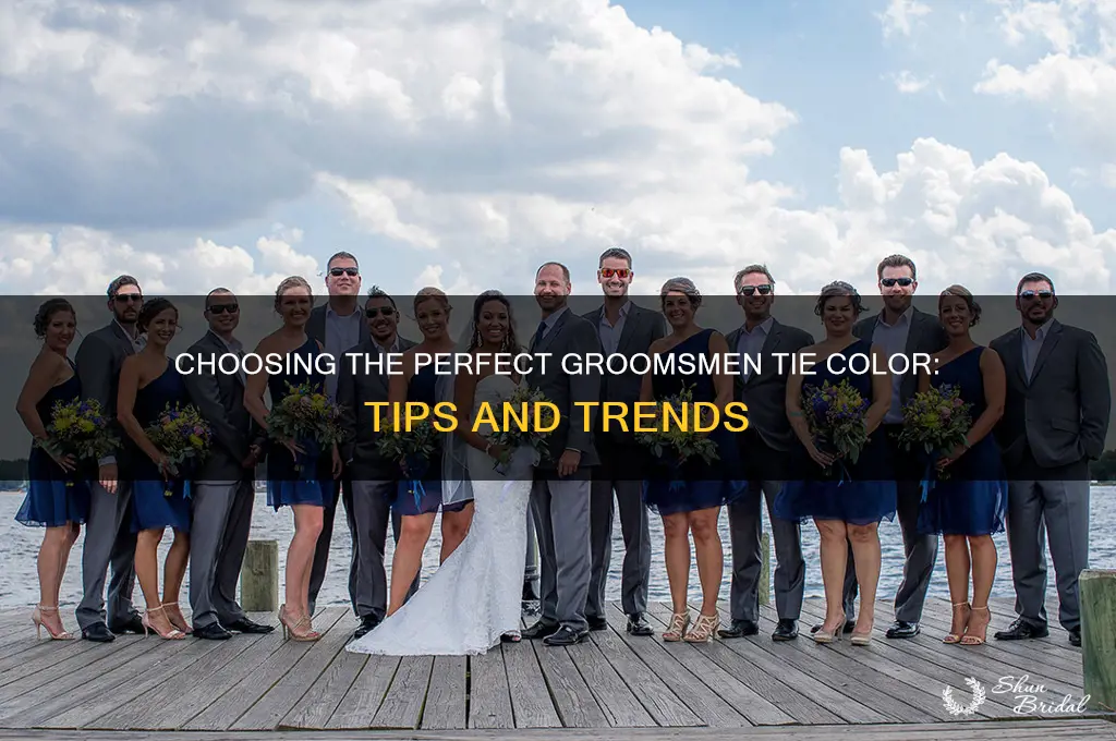 what color should groomsmen tie