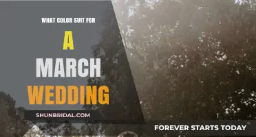 Perfect March Wedding Suit Colors: Seasonal Elegance for Grooms & Guests