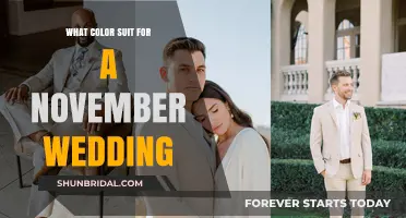 Elegant November Wedding Suit Colors: A Seasonal Style Guide