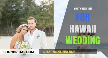 Perfect Hawaii Wedding Suit Colors: Tropical Elegance for Your Big Day