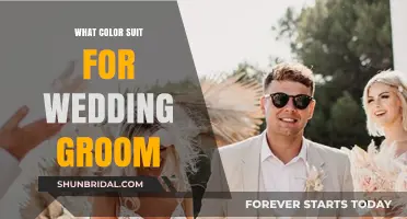 Choosing the Perfect Wedding Suit Color for the Groom