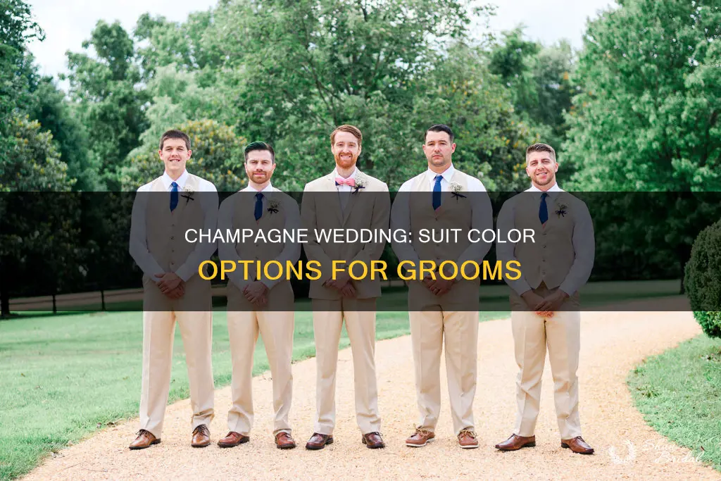 what color suit goes with a champagne wedding dress
