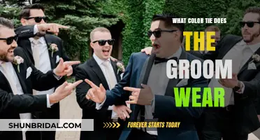 Choosing the Perfect Tie: A Groom's Guide to Wedding Day Elegance