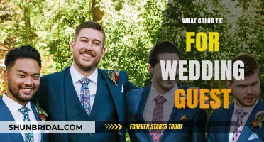 Choosing the Perfect Wedding Guest Tie Color: A Stylish Guide