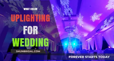 Choosing the Perfect Uplighting Colors for Your Dream Wedding