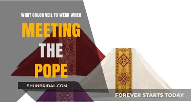 Choosing the Right Veil Color for Papal Audiences: A Guide