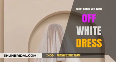 Perfect Veil Color Matches for Your Off-White Wedding Dress