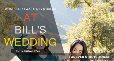 Ginny's Dress: What Color Was It?