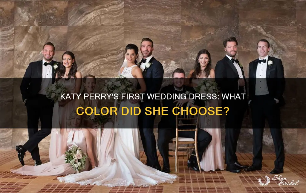 what color was katy perry