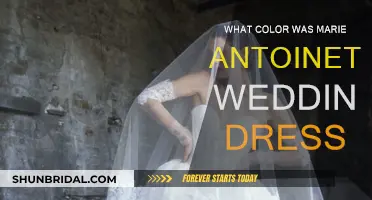 Marie Antoinette's Wedding Dress: A Color Mystery