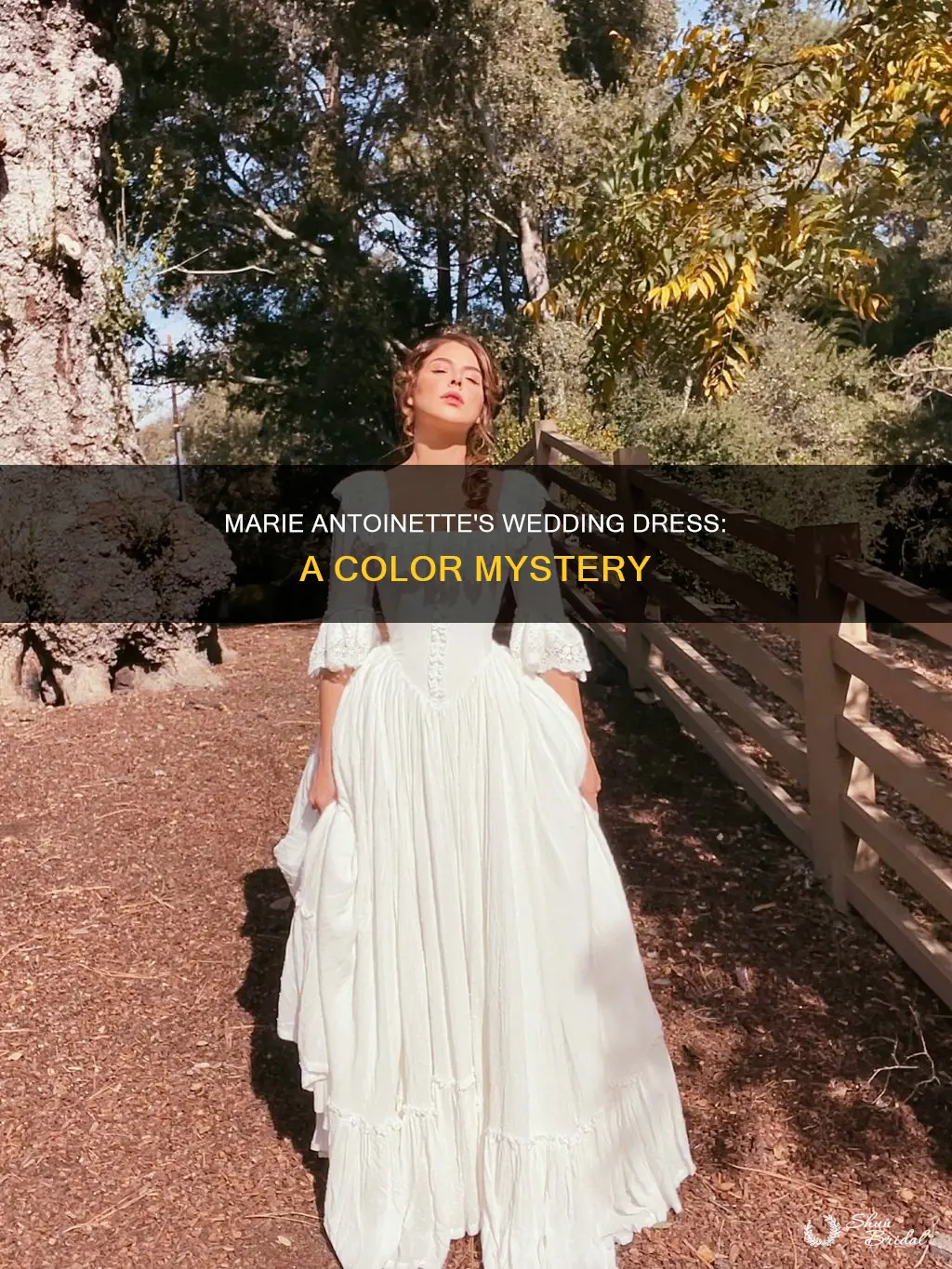 what color was marie antoinette wedding dress