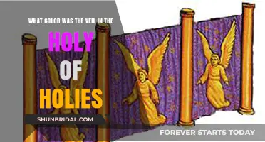 Unveiling the Mystery: The Color of the Holy of Holies Veil