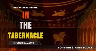 Unveiling the Tabernacle: Exploring the Color of the Veil