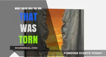 The Torn Veil's Color: Unraveling the Biblical Mystery and Meaning
