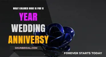 Steel Blue Roses: Perfect 11th Wedding Anniversary Gift Symbolism