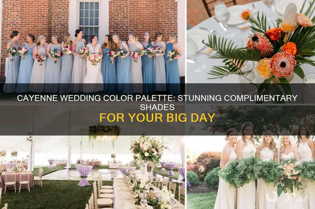 what colors compliment cayenne wedding