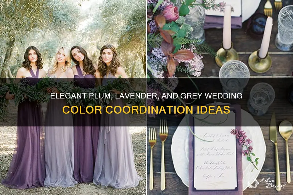 what colors coodinates plum lavender and gry wedding