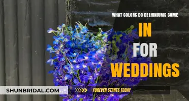 Delphinium Wedding Colors: A Guide to Shades for Your Big Day