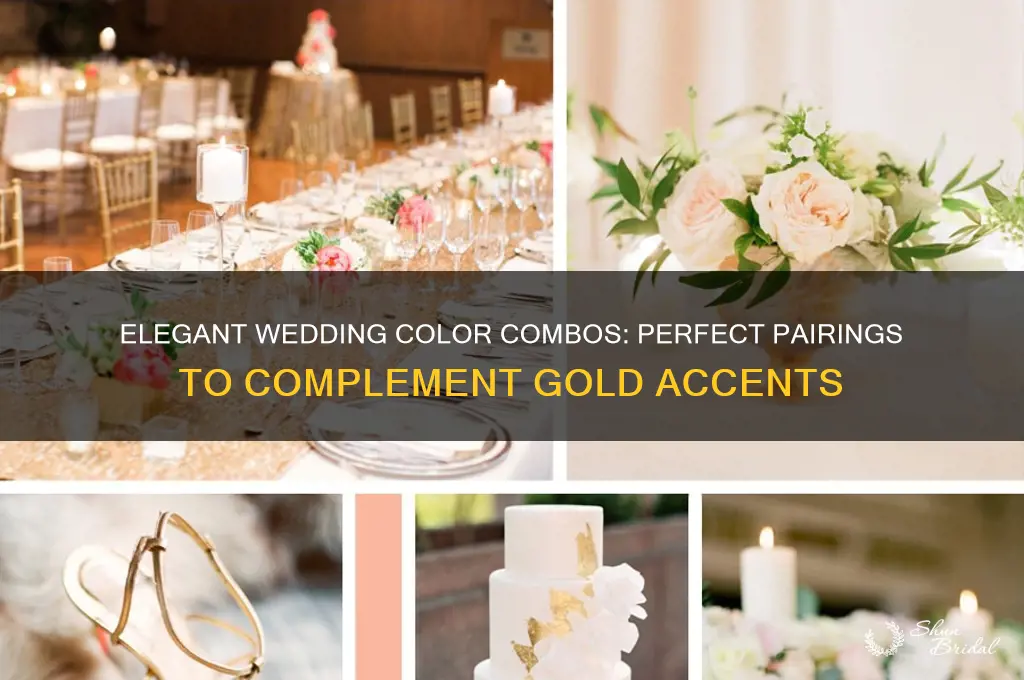what colors go good with gold for a wedding