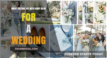 Elegant Baby Blue Wedding Color Combinations for a Dreamy Celebration