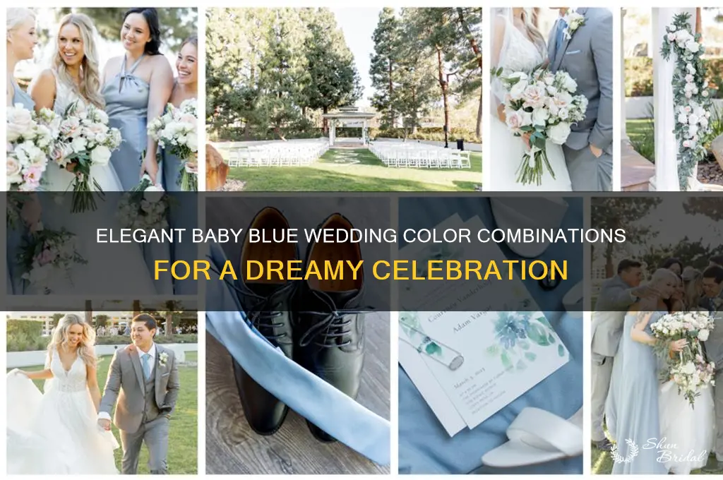 what colors go with baby blue for a wedding