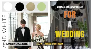 Elegant Black Wedding Color Combinations: Timeless Pairings for Your Big Day