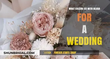 Blush Wedding Palette: Perfect Color Combinations for Your Big Day