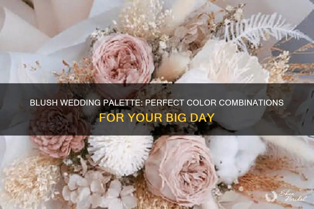 what colors go with blush for a wedding
