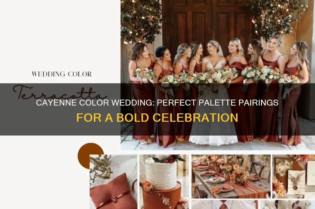 what colors go with cayenne color wedding