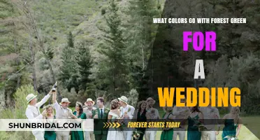 Elegant Forest Green Wedding Color Combinations for a Timeless Celebration