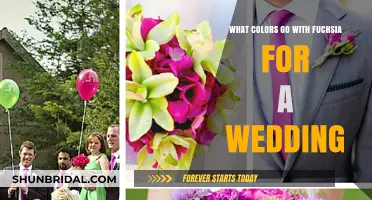 Fuchsia Wedding Palette: Perfect Color Combinations for a Vibrant Celebration