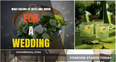 Lime Green Wedding Palette: Perfect Color Combinations for Your Big Day