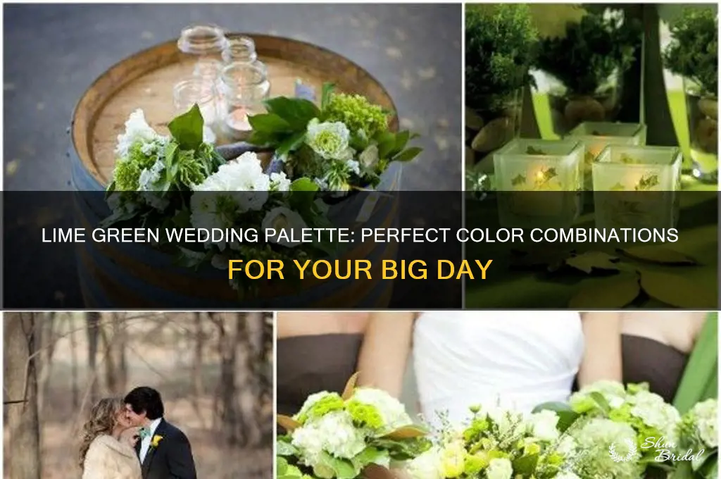 what colors go with lime green for a wedding