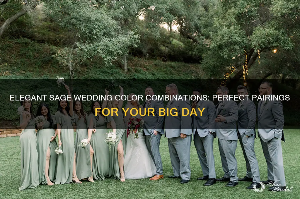 what colors go with sage for a wedding