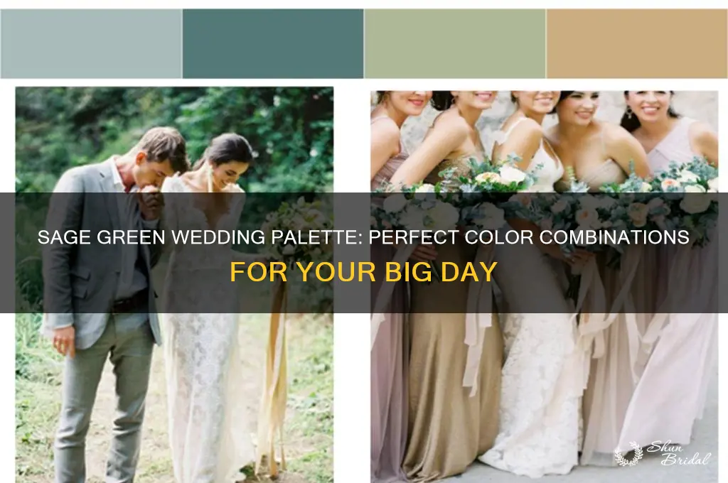what colors go with sage green for a wedding
