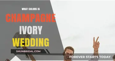 Champagne Ivory Wedding Colors: Elegant Palette Ideas for Your Big Day