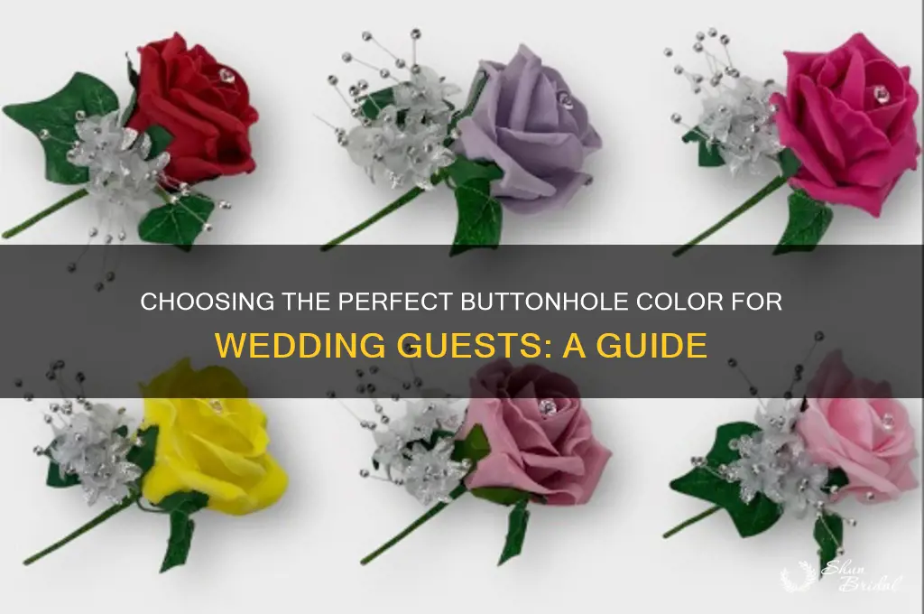 what colour buttonhole for wedding guests