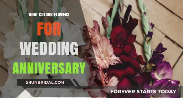 Choosing the Perfect Anniversary Flowers: A Colorful Guide for Every Year