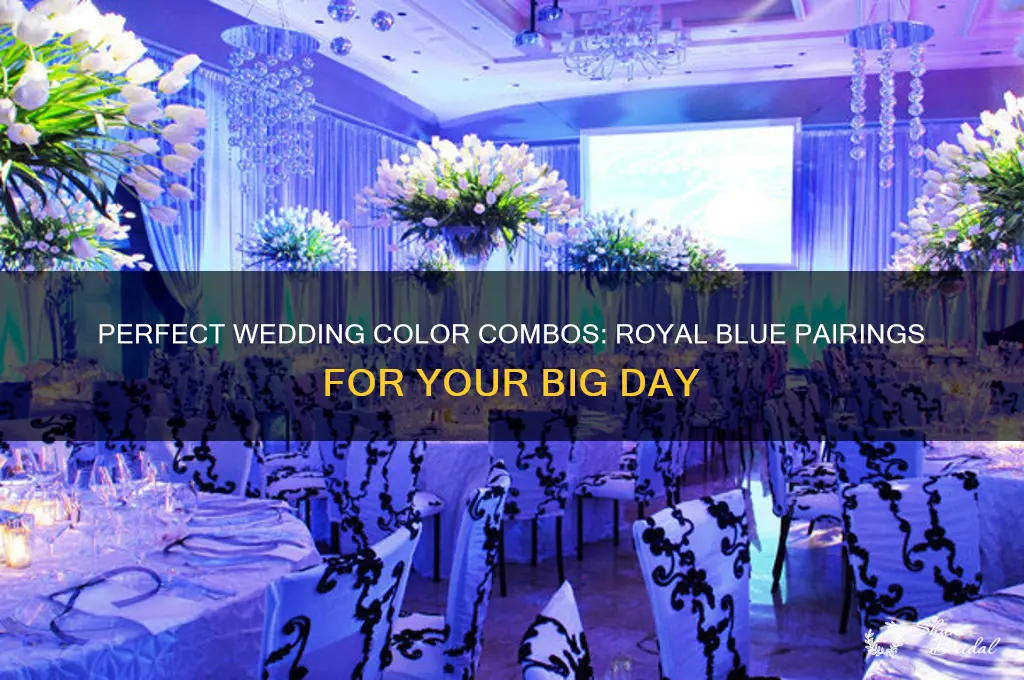 what colour goes with royal blue for a wedding