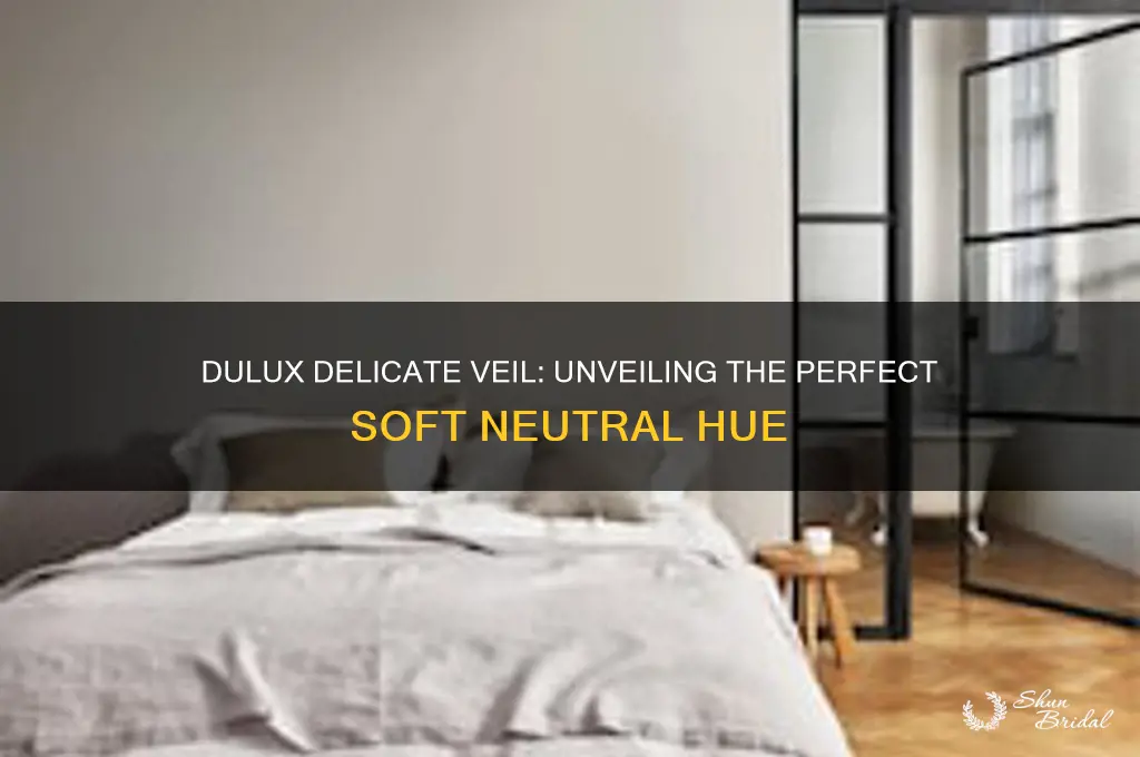 what colour is dulux delicate veil