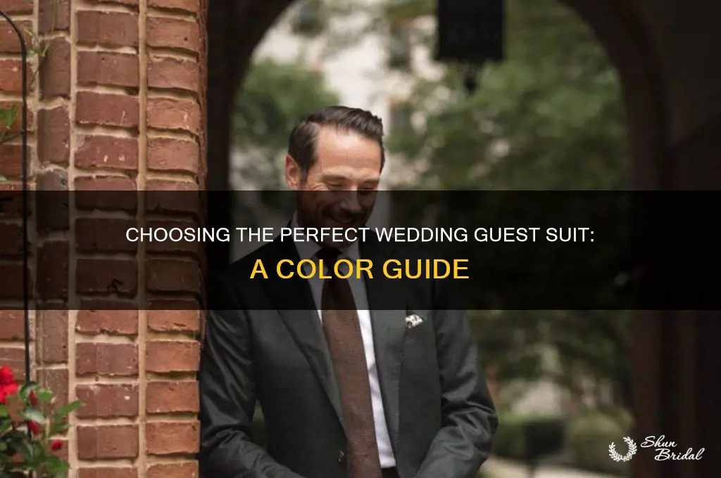 what colour suit for wedding guest